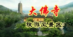 www日本黄色视频优物中国浙江-新昌大佛寺旅游风景区